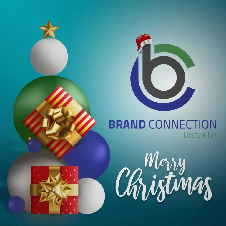 brand-connection-social-media-management-5_result_1