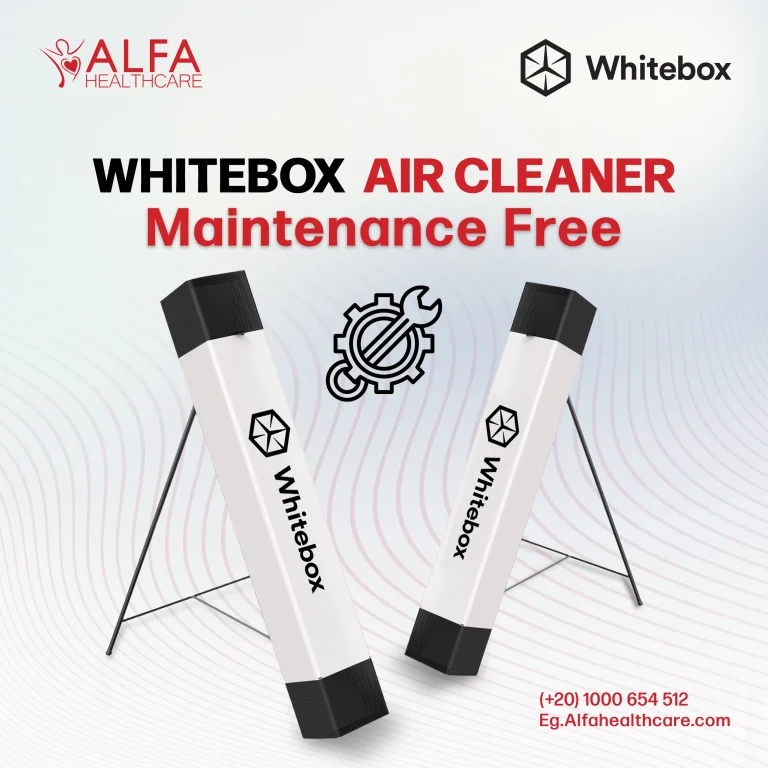 WhiteBox_result